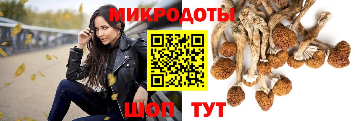 Новороссийск  Галлюциногенные грибы мицелий  Вход с VPN 
